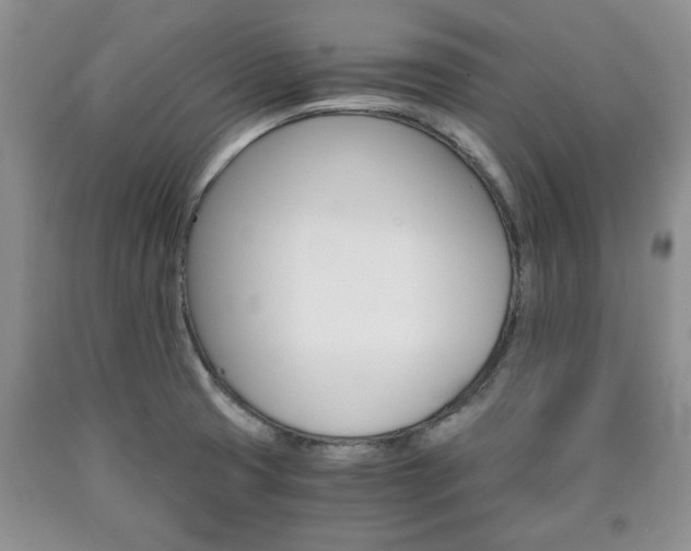 X0000090861425200707270924