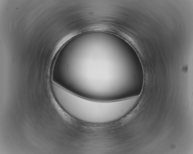 X0000090861426200707270924
