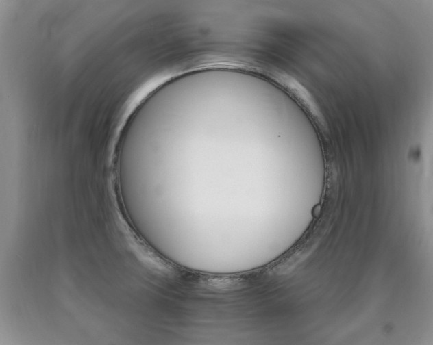 X0000090861427200707270924