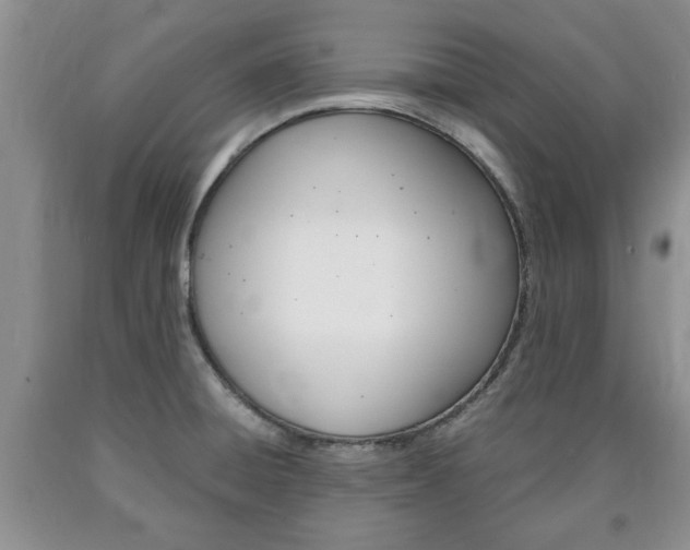 X0000090861428200707270924