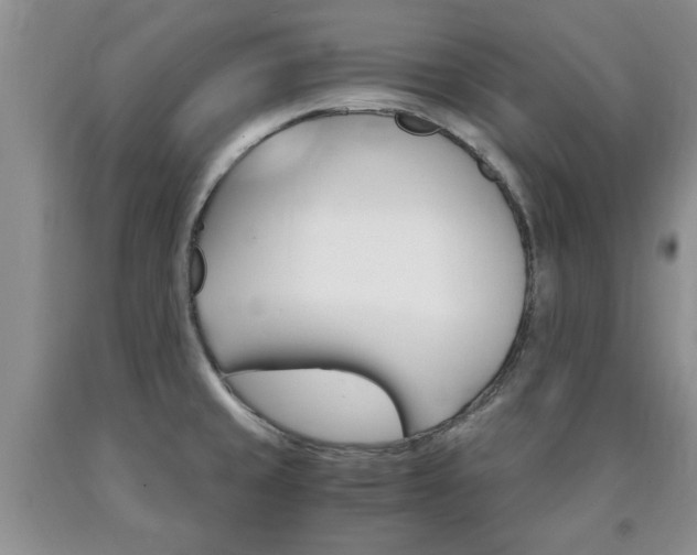 X0000090861429200707270924