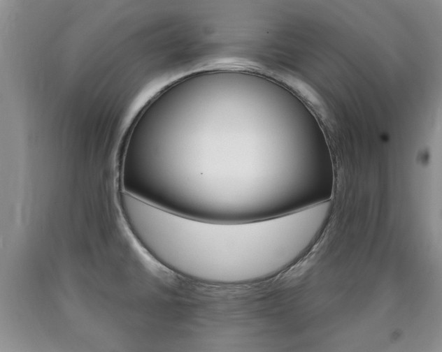 X0000090861430200707270924