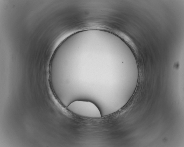 X0000090861431200707270924