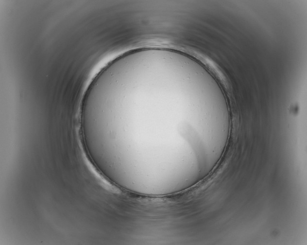 X0000090861432200707270924