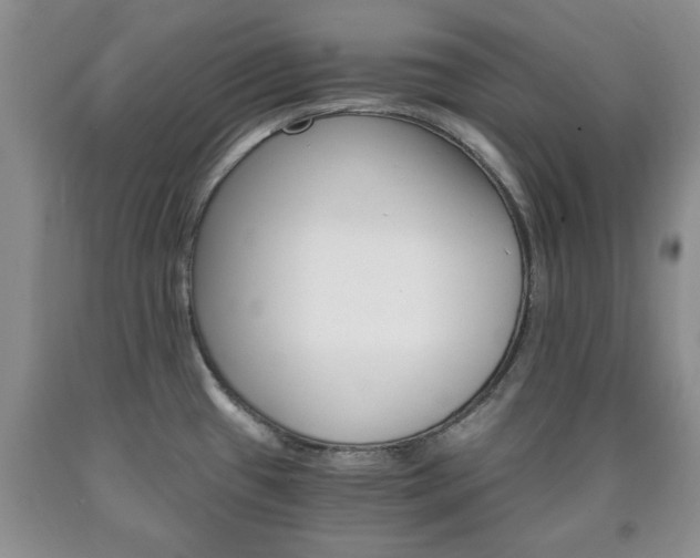 X0000090861433200707270924