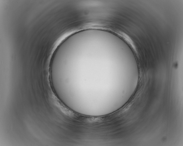 X0000090861435200707270924