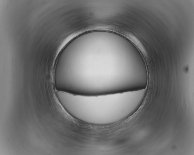 X0000090861436200707270924