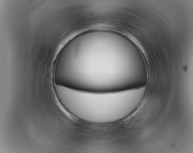 X0000090861437200707270924