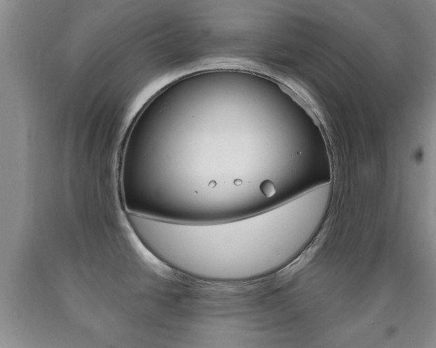 X0000090861438200707270924