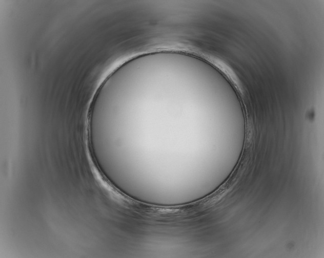 X0000090861439200707270924