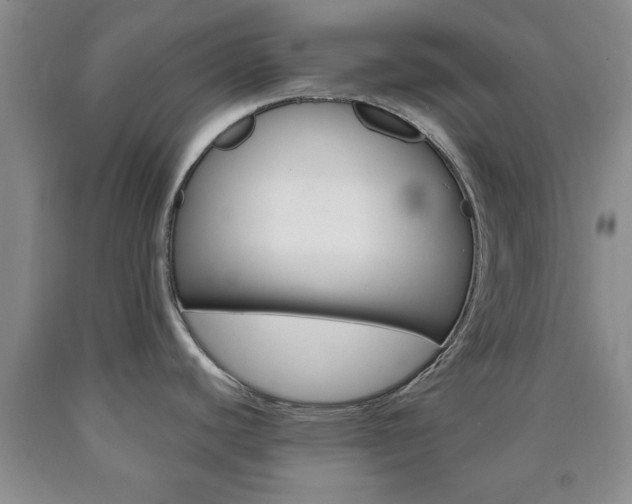X0000090861440200707270924