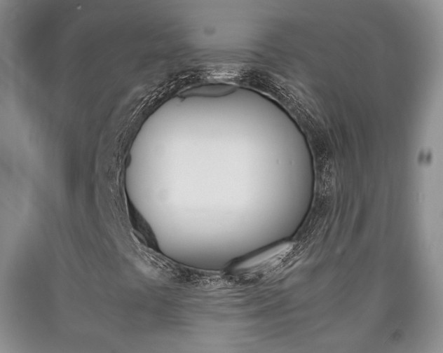 X0000090861441200707270924
