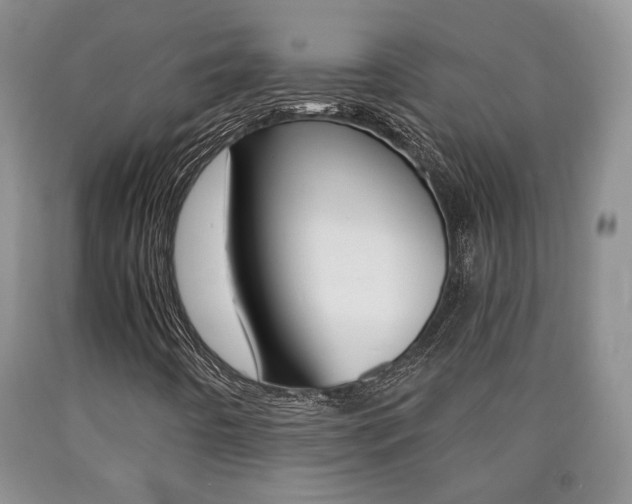 X0000090861442200707270924
