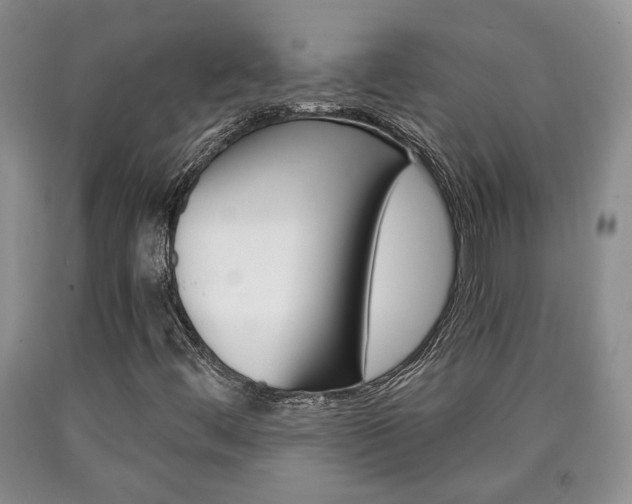 X0000090861444200707270924