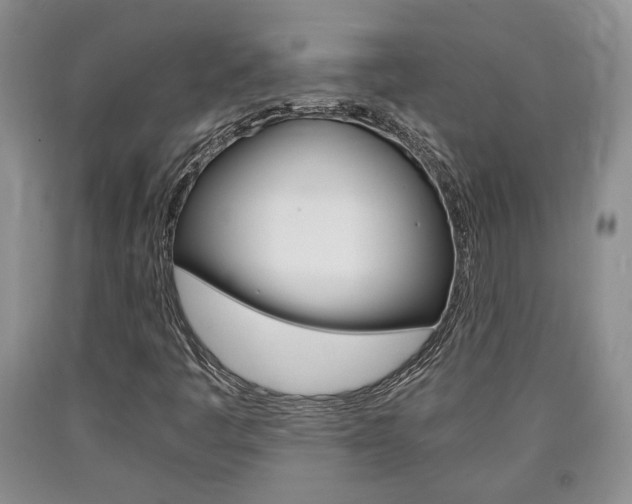 X0000090861445200707270924