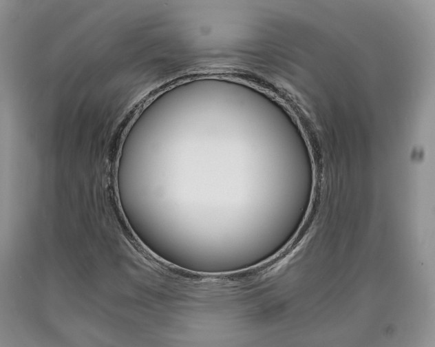 X0000090861449200707270924