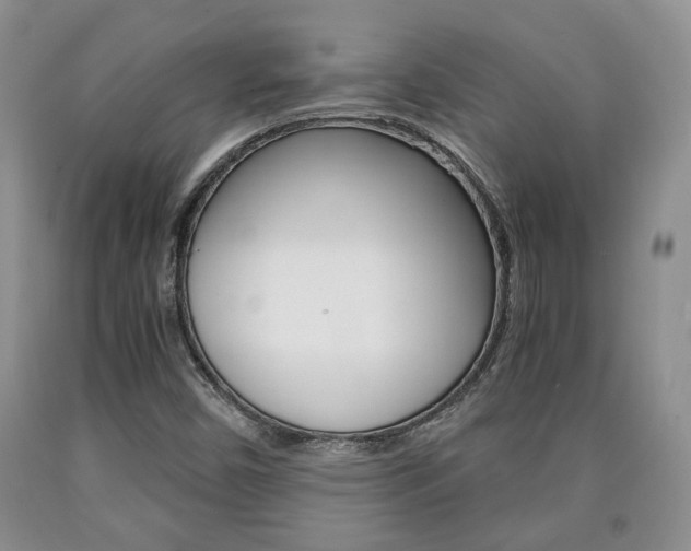 X0000090861450200707270924