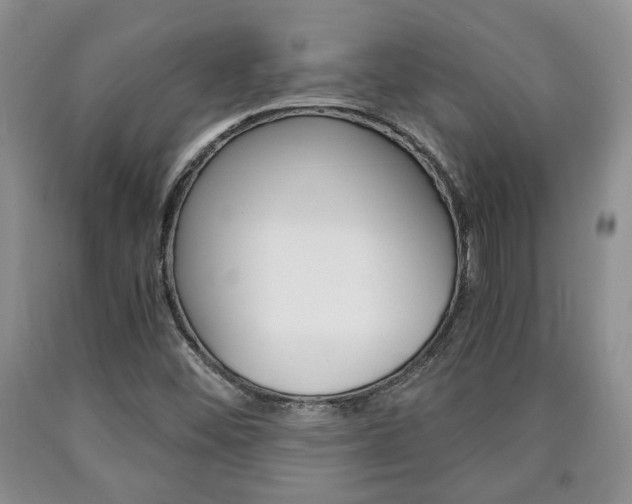 X0000090861452200707270924