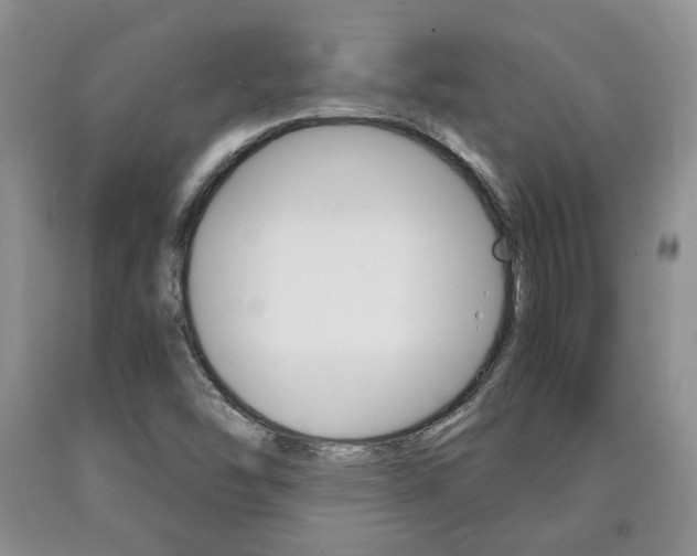 X0000090861454200707270923