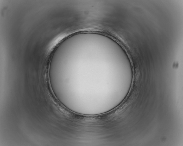 X0000090861455200707270923