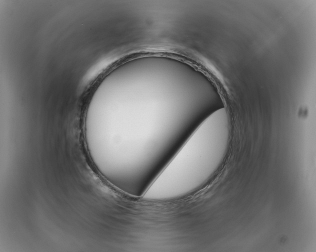 X0000090861456200707270923