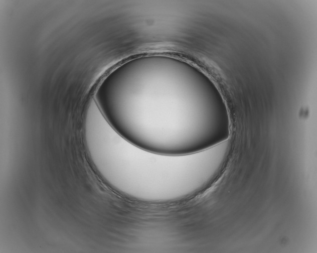 X0000090861457200707270923
