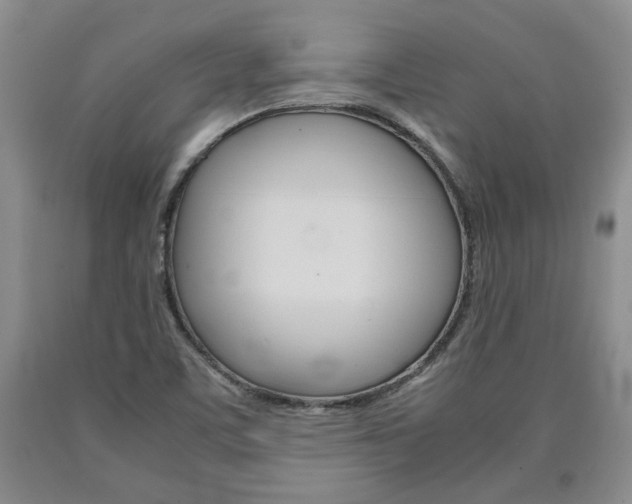 X0000090861459200707270923