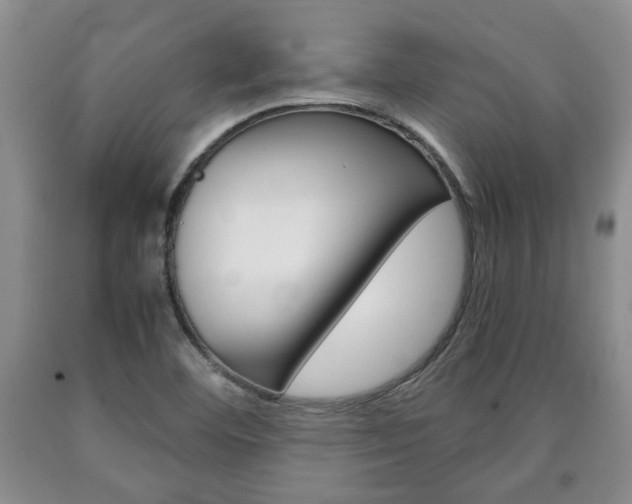 X0000090861460200707270923