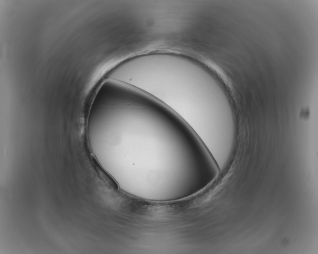 X0000090861461200707270923