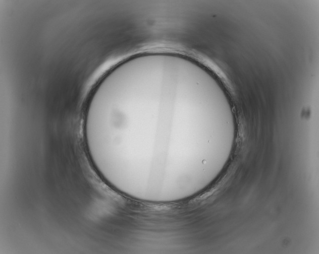 X0000090861462200707270923