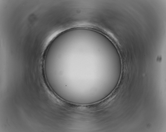 X0000090861463200707270923