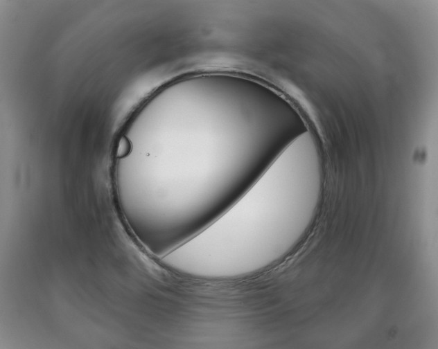 X0000090861464200707270923