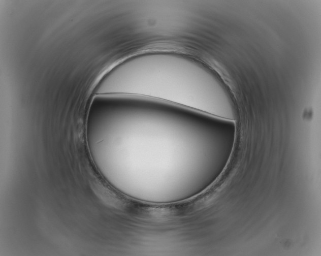 X0000090861465200707270923