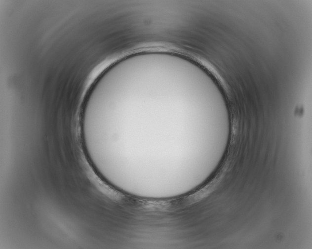 X0000090861466200707270923