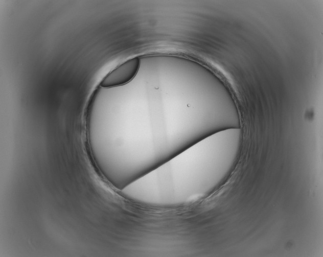 X0000090861467200707270923