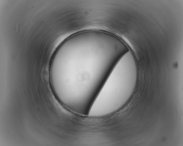 X0000090861468200707270923