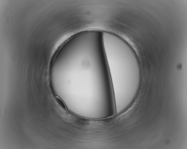 X0000090861469200707270923