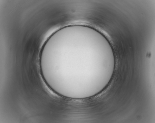 X0000090861470200707270923