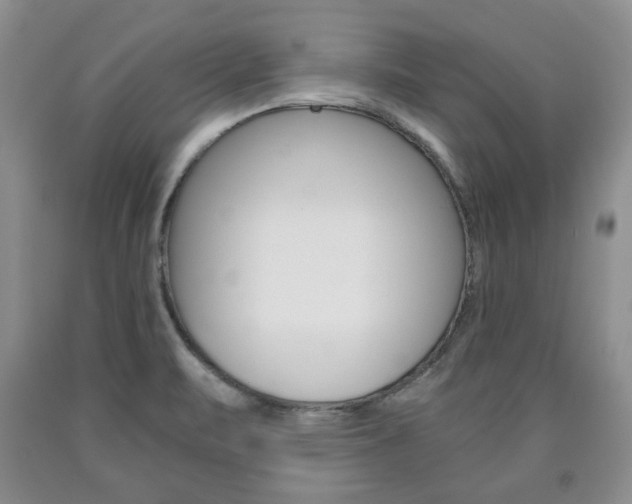 X0000090861471200707270923