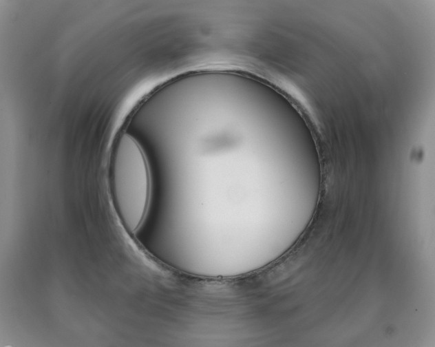 X0000090861472200707270923