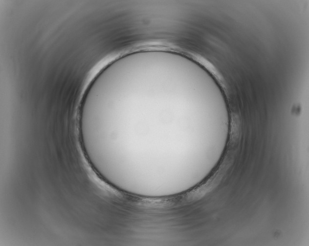 X0000090861474200707270923