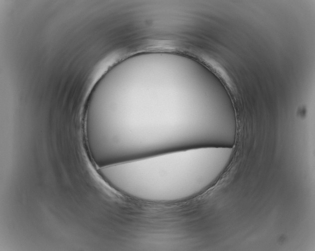 X0000090861475200707270923