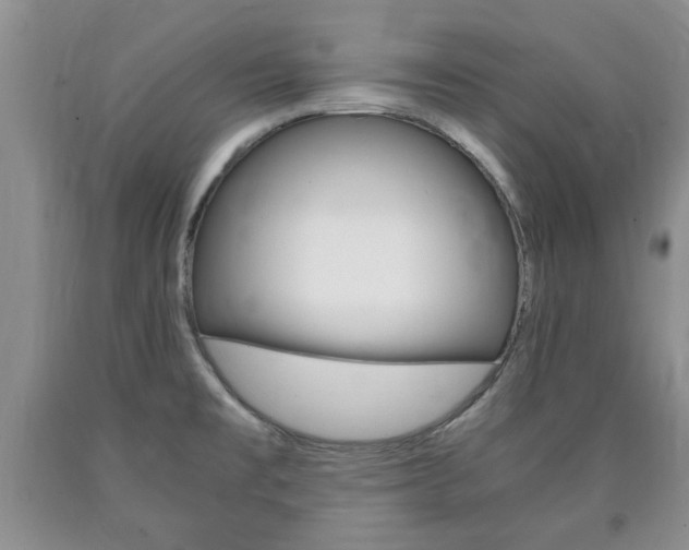 X0000090861477200707270923