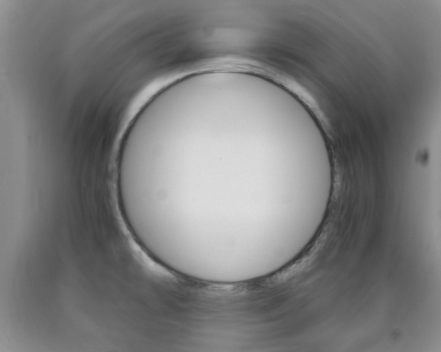 X0000090861478200707270923
