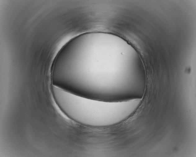 X0000090861479200707270923