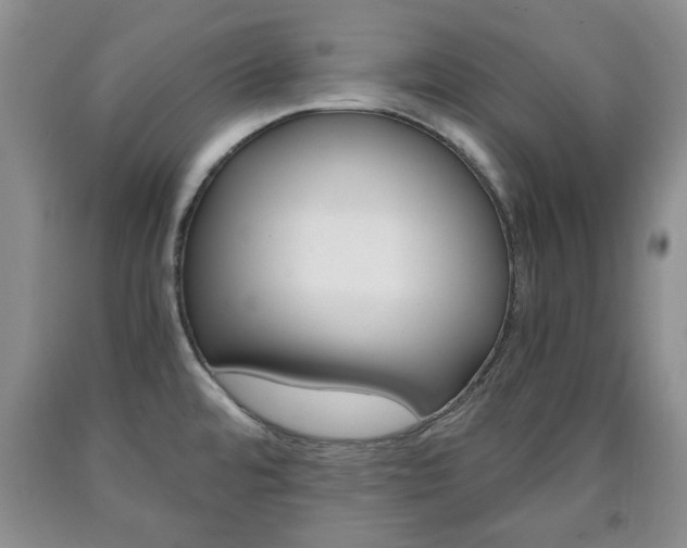 X0000090861480200707270923