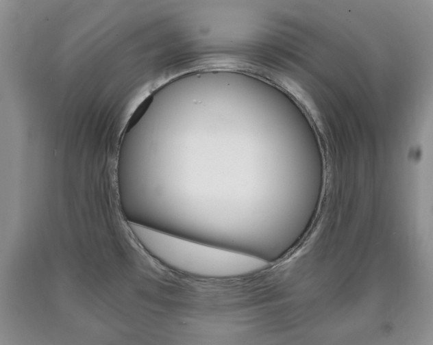 X0000090861481200707270923