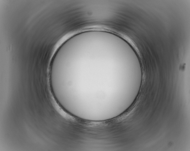 X0000090861482200707270923