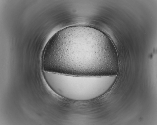X0000090861483200707270923