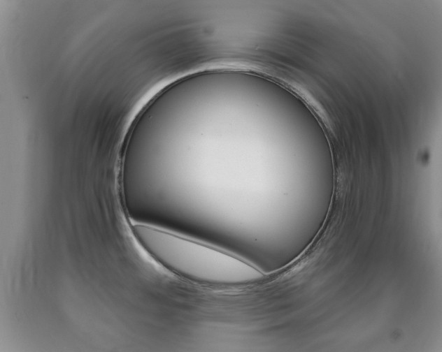 X0000090861484200707270923